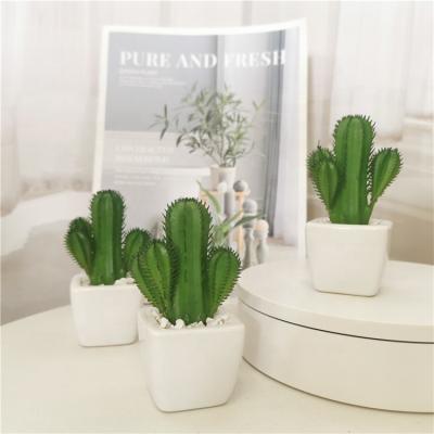 China Art Decor Amazon Hot Seller Plastic Succulent Plants Faux Cactus with Table Ceramic Decor Office Pots Artificial Cacti Plants for sale