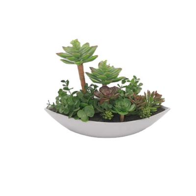 China OEM Eco-friendly Decorative Tropical Bonsai In Plastic Pot For Garden Decoration Potted Artificial Small Succulent Plants for sale