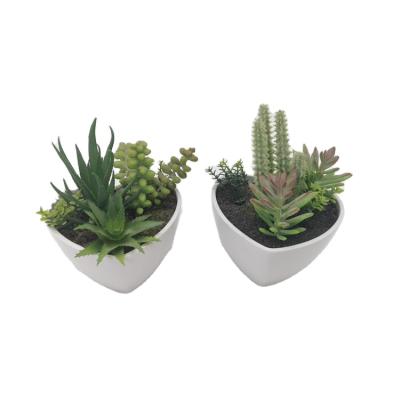 China America Eco-friendly Hot Selling Artificial Plants With Potted Plastic Faux Small Artificial Succulent Plant For Home Office Decoration for sale