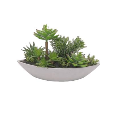 China Eco-friendly Vivid Artificial Plants With Real Touch Plastic Pot Succulent Artificiales Plantas For Home Office Decoration for sale