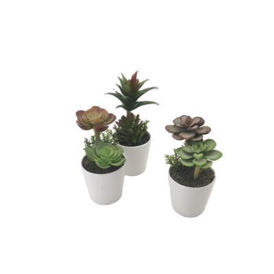 China Hot Selling Eco-friendly Plants Real Touch Planta Office Cafe Decorative Artificial Succulent Plant Store Artificial Succulent Table for sale