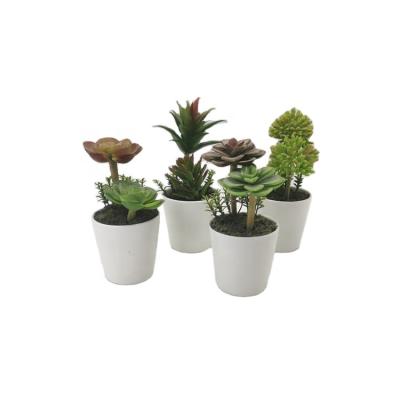 China Best Selling Eco-friendly Plastic Bonsai Succulent Table Decorative Artificial Succulent Plants In White Ceramic Pot for sale