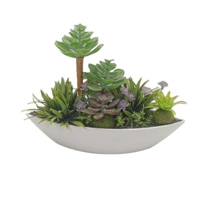 China Artificial Planta Planta Planta Simlulation Eco-friendly Artificial High Succulent Bonsai Real Touch For Decoration for sale