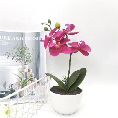 China Lifelike Artificial Plants Vivid Indoor Decorative Flowers Eco - Friendly Pulp Potted Artificial Phalaenopsis Orchid for sale