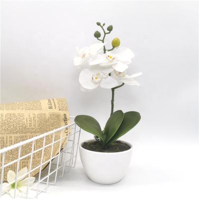 China China Eco-friendly Artificial Bonsai Orchid Flowers Decorative Manufacturer In Ceramic House Decor Garden Pot Artificial Orchid Flower for sale