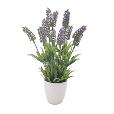 China Wholesale Natural Artificial Flower High Quality Plastic Lavender Touch Realistic Ceramic Potted Lavender for sale