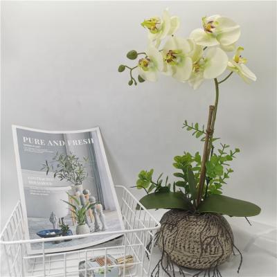 China Eco-friendly Decorative Silk High Simulation Fake Phalaenopsis Orchid Orchid Flowers With Pulp Pot For Home Office Wedding for sale