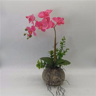 China Wholesale Eco-friendly Artificial Realistic Silk Home Decor Phalaenopsis Potted Planta Orchid Orchid Flower for sale