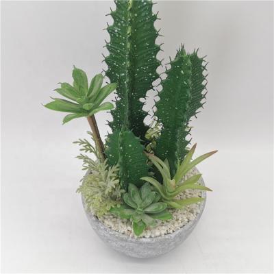 China Nordic Eco-friendly Table Eco-friendly Indoor Home Decoration Living Room Cactus Simulation Plant Potted Artificial Succulent Bonsai for sale