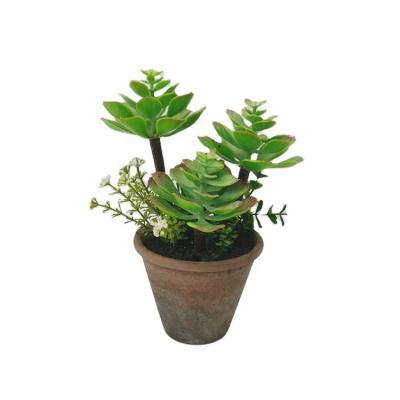 China Wholesale Eco-friendly Artificial High Simulation Plastic Succulent Plants Home Tables Decorative Artificial Bonsai With Paper Pulp Pot for sale