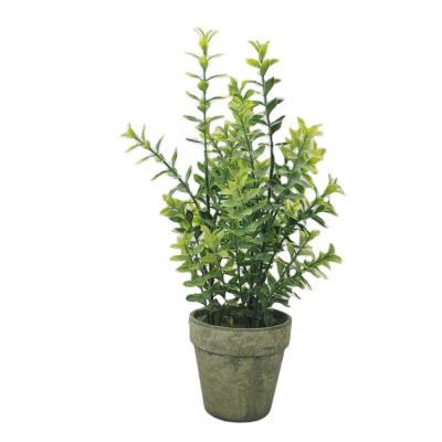 China High Simulation Planta Small Tree Eco-friendly Artificial Plastic Garden Bonsai Ornamental Artificial Plant In Pulp Pot for sale