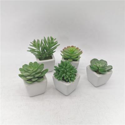 China Art Decor Hpt Sale Small Cactus with White Ceramic Planter Plastic Succulent for Bathroom Table Decor Artificial Planta for sale