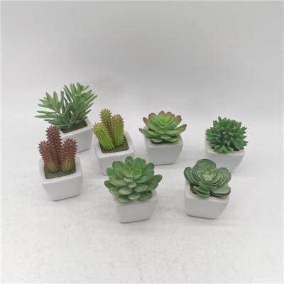 China Art Decor Hpt Sale Mini Cactus With Plastic Succulent Ceramic Pot Plants Fake For Table Decor Artificial Potted Planta for sale