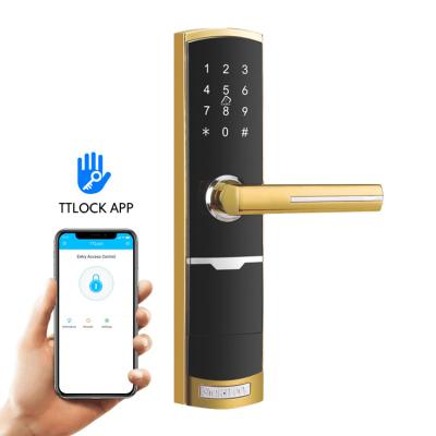 China G2 Gateway Electronic Smart Door Locks 310mm Password  Smart Lock for sale