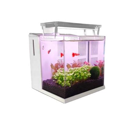 China Viable Small Aquarium Fish Tank With Rear Filtration Usb Interface Office Home Decoration for sale