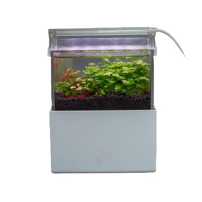 China QANVEE Factory Direct Selling Filter Viable Clear Acrylic Mini Desktop Bottom Fish Tank for sale