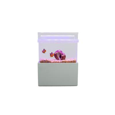 China QANVEE DC-145 C Fishtank Viable Acrylic Desktop Decoration Mini Unique Fish Tank With Small Running Water for sale