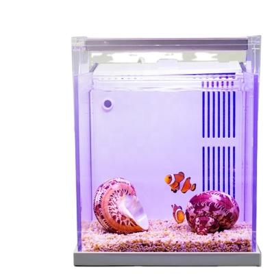 China Sustainable Mini Fish Tank Acrylic Aquarium Filtration System FREE WATER CHANGE for sale