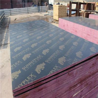 China Modern Wood Plastic Plywood Composite Doms for sale