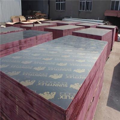 China Modern plywood for hotel DOM for sale