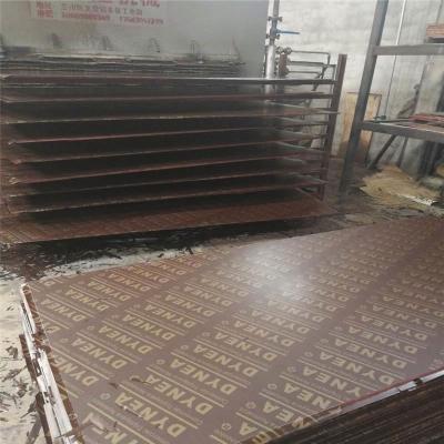 China Modern black coated plywood DOM for sale