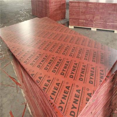 China Modern melamine plywood DYNEA shuttering plywood for sale