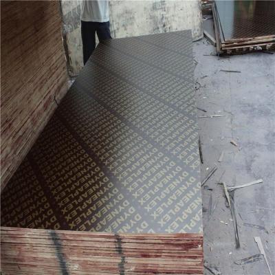 China Modern Film Faced Plywood Commercial Plywood DYNEA Plywood for sale