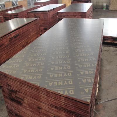 China door roll skin for sale