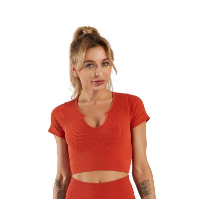 China High Quality Breathable Fitness Women Plus Size Yoga Short Crop Top Sports Sleeve Activewear for sale