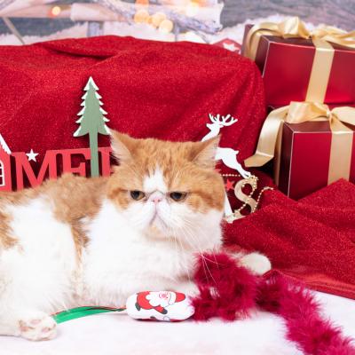 China High quality manufacturers Christmas series three-piece suit plush cat stocked wholesale sticks in large quantities for sale