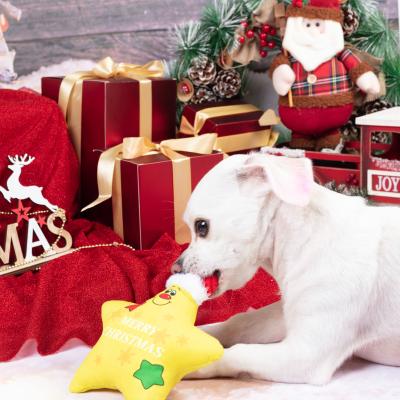 China High Quality Stocked Plush Toys Chewing Bones and Stars Christmas Series Three-Piece Pet Toy Chew Ball with Baby Call for sale