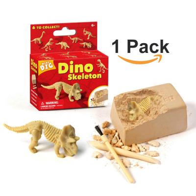 China Amazon Excavation Dig Kit For Kids Dinosaur Bone Skeleton Toy 6 Styles Collect BQ023 for sale