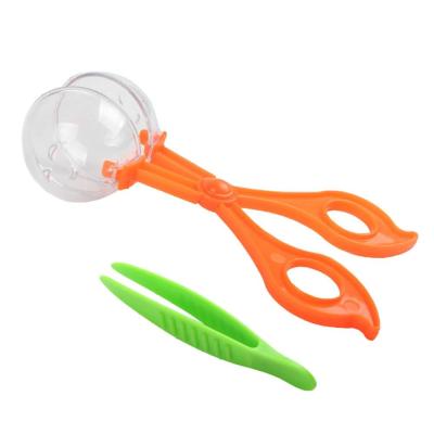 China Plastic Scissor Bridle With Transparent Ball + 1PCS Tweezers Nature Exploration Toy Insect Study Tool For Children Kids Gift BQ054 for sale