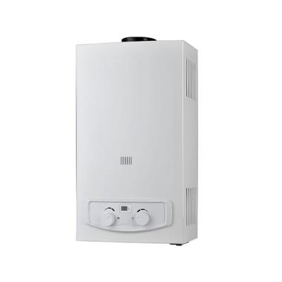 China 2020 New Style Household Flue Gas Water Heater Domestic Cheap Price Big Power for sale