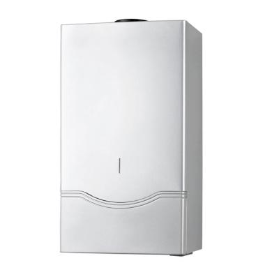 China Open Flue Type Hotel Smart Water Heater Gas Gas Water Heater Boiler For Showering for sale