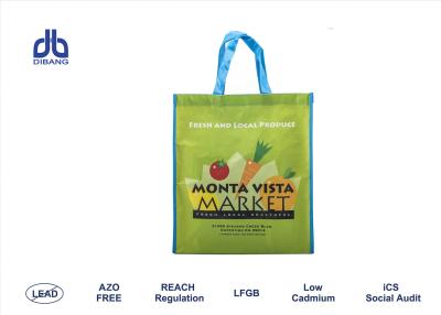 China Supermarket Store Shopping Bags For Fruit / Food , Eco Friendly Reusable Grocery Bags for sale