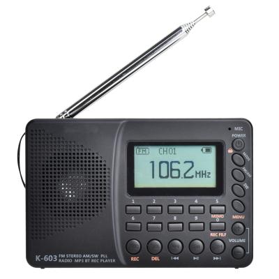 China PORTABLE Mini Portable Radio With FM MW Switch Support REC BT MP3 Radio Receiver for sale