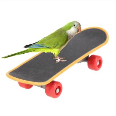 China Viable Training Playing Bird Interaction Toys Skateboarding Parrots Skateboard Bird Parrot Swing Toys for sale