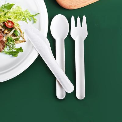 China Sustainable 100% Compostable Forks Spoons Disposable Paper Spoon Cutlery Set for sale