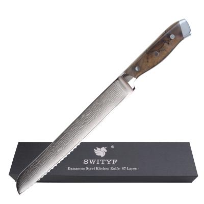 China Sustainable 8 Inch Yangjiang Serrated VG10 Germany Stainless Bread Knife for sale