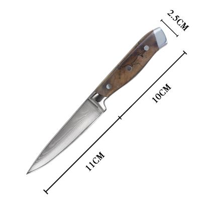 China Sustainable Yangjiang Damascus VG10 Steel Stabilize Wood Handle Paring Knife for sale