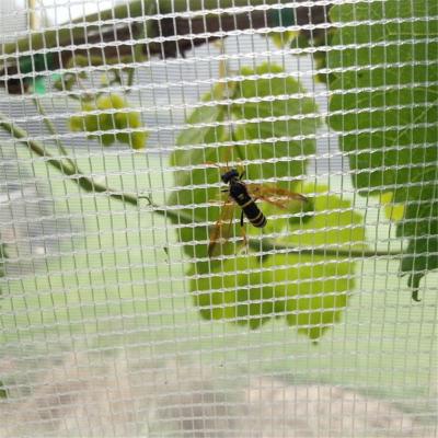 China PE mesh 40 virgin hdpe greenhouse anti insect net for agricultural insect proof for sale