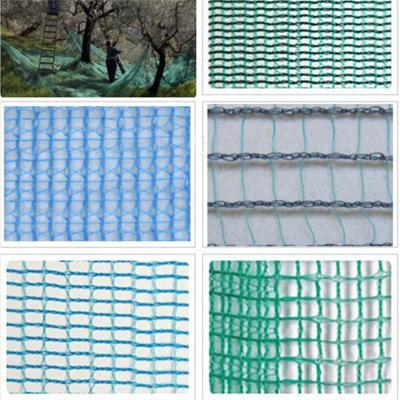 China HDPE Agriculture Olive Net harvest net with high quality for sale