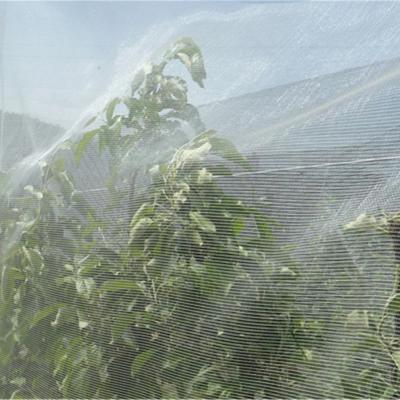 China anti insect netting, rede anti-insetos manufacturer for sale