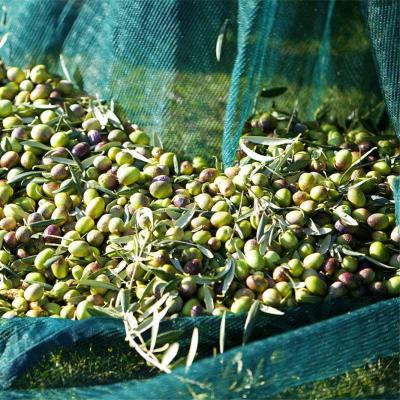 China red material de Olive Catching del HDPE en venta