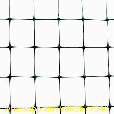 China Extruded BOP Bird Protection Net anti mole netting with UV Stabilizer for sale