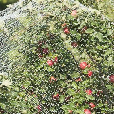 China Knitted Anti Bird Netting for sale