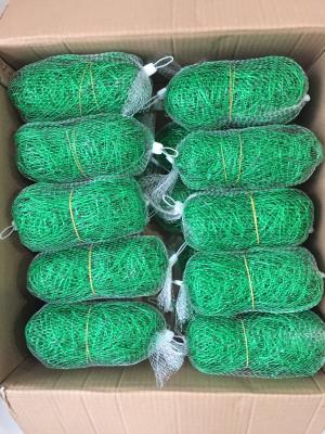 China Green PE Green Trellis Netting Climbing Frame Gardening Net Anti Pest Weed Plant Garden for sale