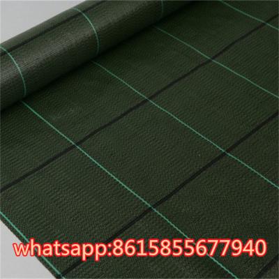 China Agricultural Plastic Fabric In Non Woven Material Anti Weed Mat Weed Fabric Ground Cover Nonwoven Weed Control Fabric for sale