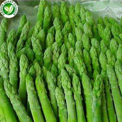 China IQF Green Organic Vegetables Price Fresh Frozen Asparagus for sale